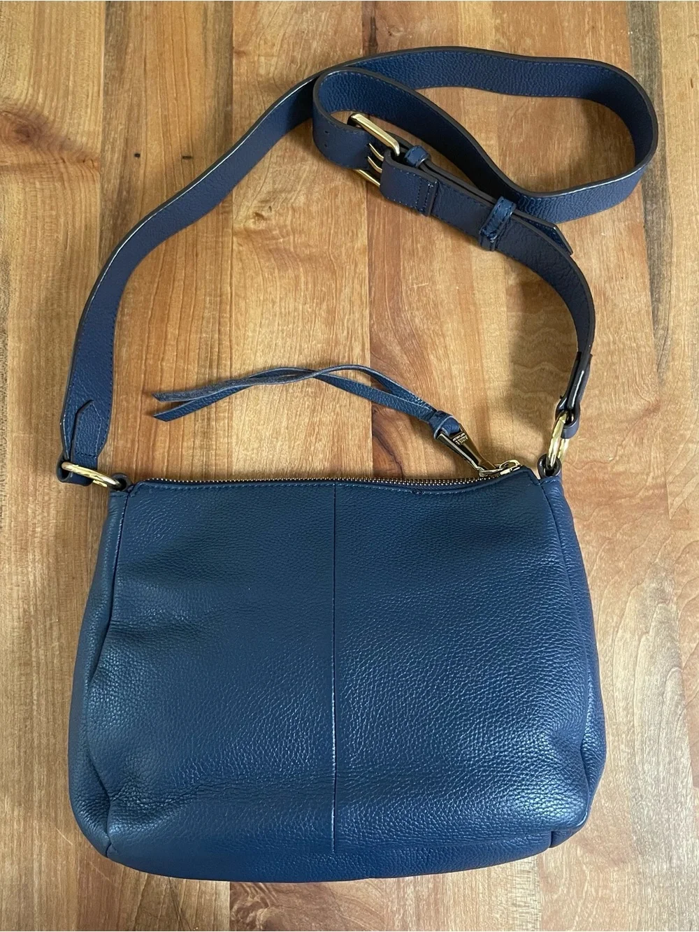 Aimee Kestenberg Blue Leather Crossbody Purse Snakeskin Gold Chain Boho Western